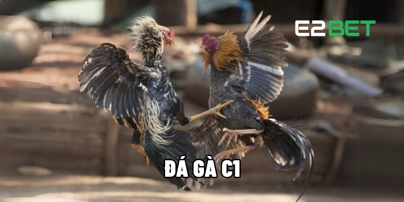 da ga c1 1